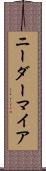 ニーダーマイア Scroll