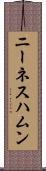ニーネスハムン Scroll