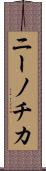 ニーノチカ Scroll