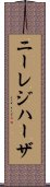 ニーレジハーザ Scroll