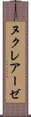 ヌクレアーゼ Scroll