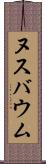 ヌスバウム Scroll