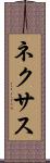 ネクサス Scroll