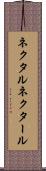 ネクタル Scroll