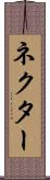 ネクター Scroll