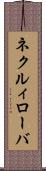 ネクルィローバ Scroll
