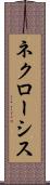 ネクローシス Scroll