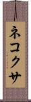 ネコクサ Scroll