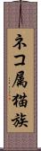 ネコ属 Scroll