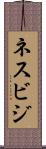 ネスビジ Scroll