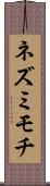 ネズミモチ Scroll