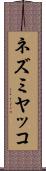 ネズミヤッコ Scroll