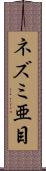 ネズミ亜目 Scroll