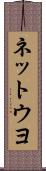 ネットウヨ Scroll