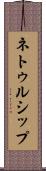 ネトゥルシップ Scroll