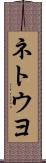 ネトウヨ Scroll