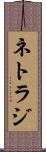 ネトラジ Scroll