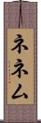 ネネム Scroll
