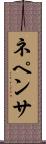 ネペンサ Scroll