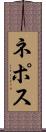 ネポス Scroll