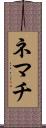 ネマチ Scroll