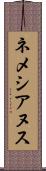 ネメシアヌス Scroll