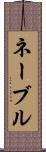 ネーブル Scroll
