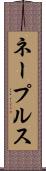 ネープルス Scroll