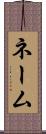 ネーム Scroll