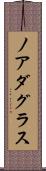 Noah Douglas Scroll