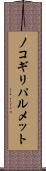 ノコギリパルメット Scroll