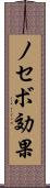 ノセボ効果 Scroll