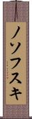 ノソフスキ Scroll