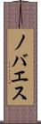 ノバエス Scroll