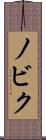 ノビク Scroll