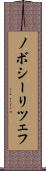 ノボシーリツェフ Scroll