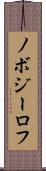 ノボジーロフ Scroll