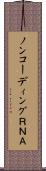 ノンコーディングＲＮＡ Scroll