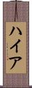 ハイア Scroll