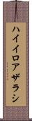 ハイイロアザラシ Scroll