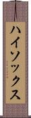 ハイ・ソックス Scroll