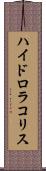 ハイドロラコリス Scroll