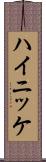 ハイニッケ Scroll