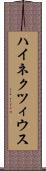 ハイネクツィウス Scroll