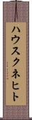 ハウスクネヒト Scroll