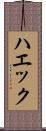 ハエック Scroll