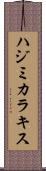 ハジミカラキス Scroll