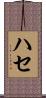 ハセ Scroll
