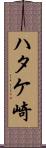ハタケ崎 Scroll