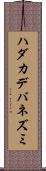 ハダカデバネズミ Scroll